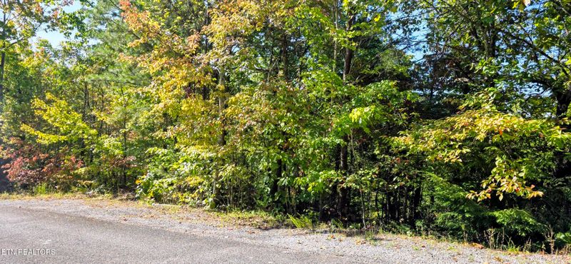 Lot 90 Mountain Blvd, Sevierville, TN 37876