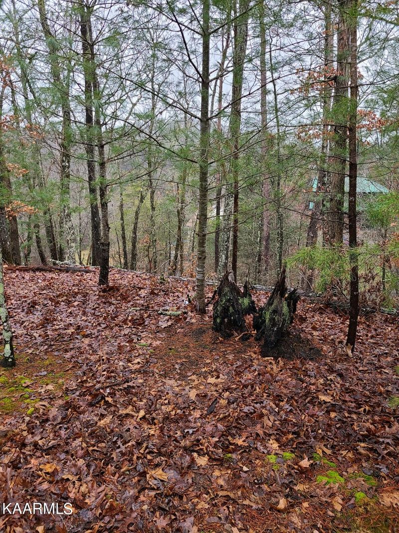 Lot 90 Pine Way, Pigeon Forge, TN 37863