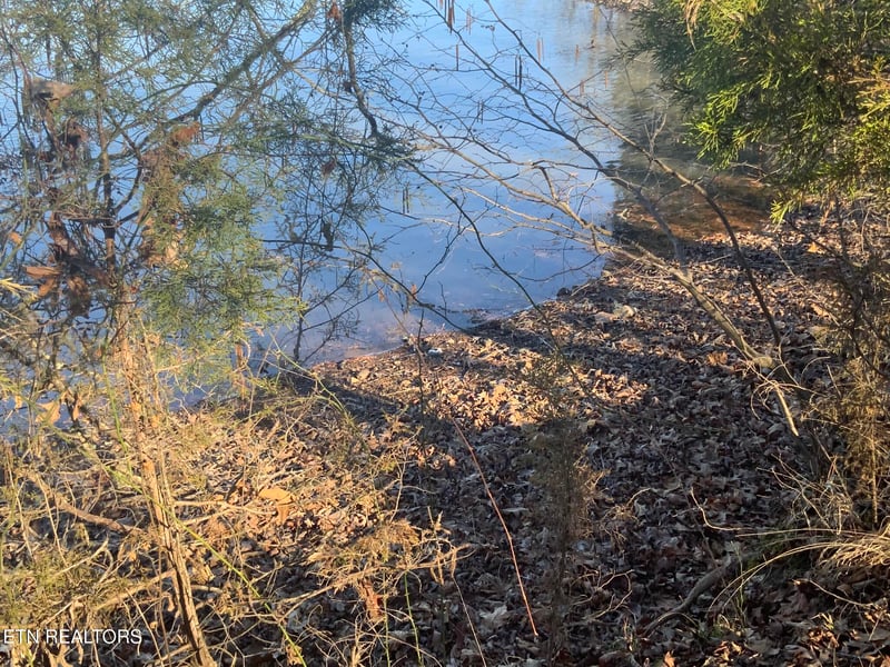 Lot 91 Bending Bow Dr, Ten Mile, TN 37880