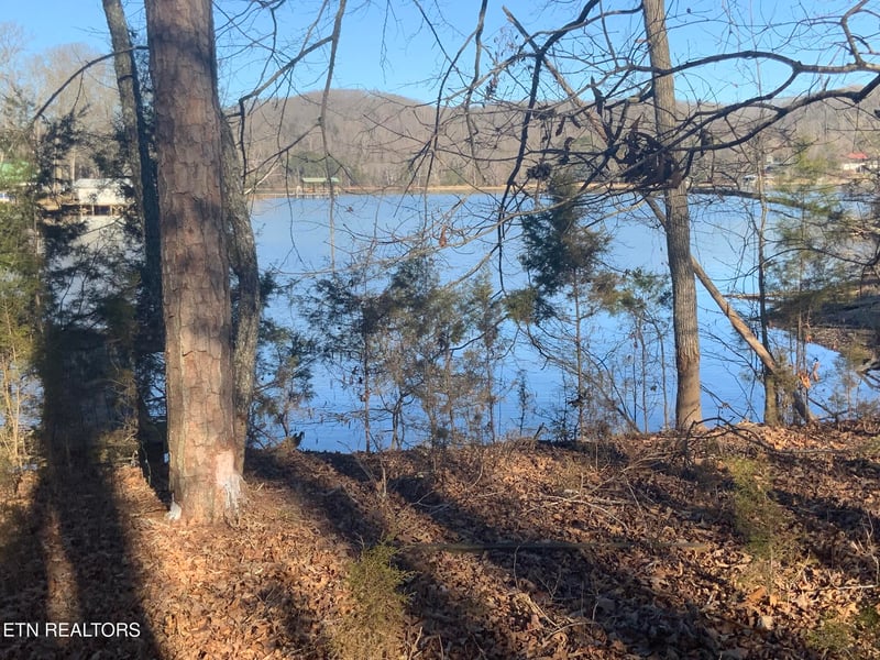 Lot 91 Bending Bow Dr, Ten Mile, TN 37880