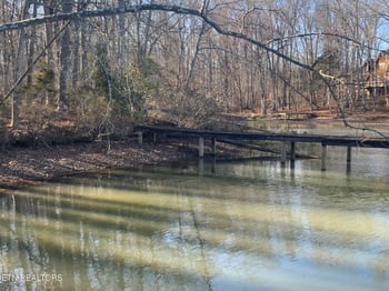 Lot 91 Bending Bow Dr, Ten Mile, TN 37880