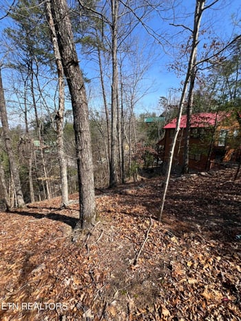Lot 91 Chickasaw Gap Way, Sevierville, TN 37863