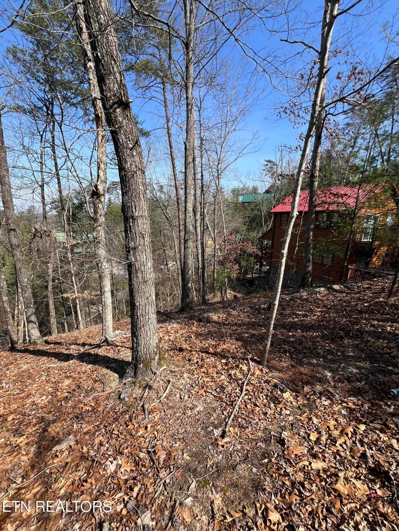 Lot 91 Chickasaw Gap Way, Sevierville, TN 37863