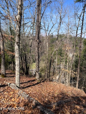 Lot 91 Chickasaw Gap Way, Sevierville, TN 37863