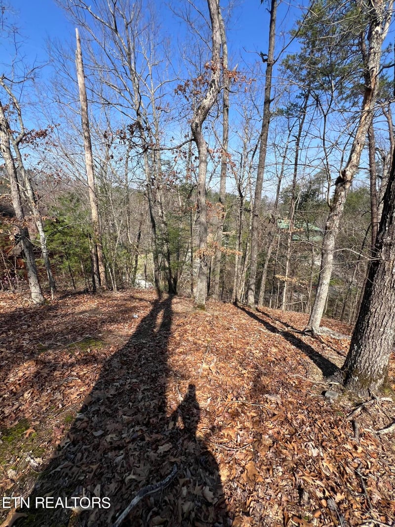 Lot 91 Chickasaw Gap Way, Sevierville, TN 37863
