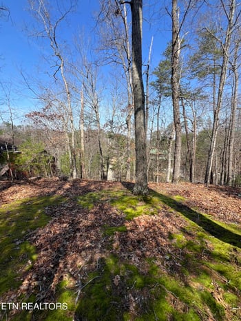 Lot 91 Chickasaw Gap Way, Sevierville, TN 37863