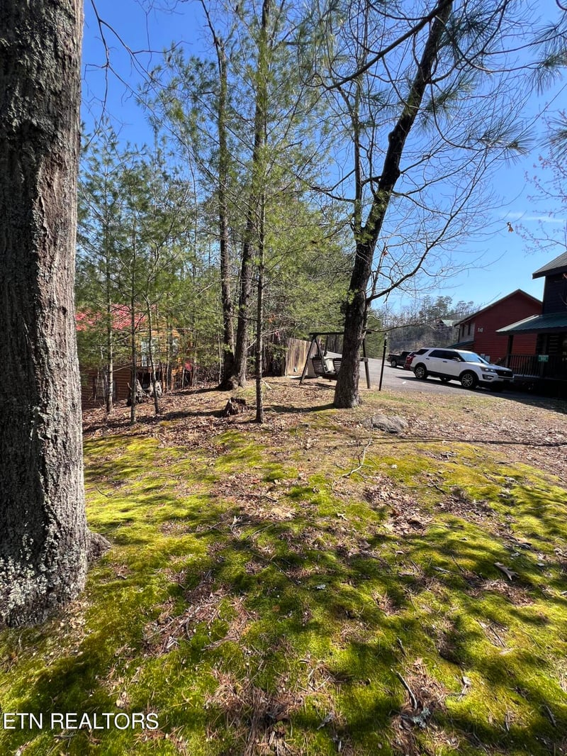 Lot 91 Chickasaw Gap Way, Sevierville, TN 37863
