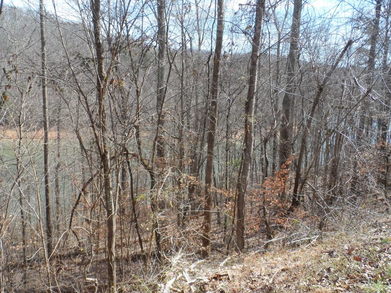 Lot 93 Hiwassee Dr, Jacksboro, TN 37757