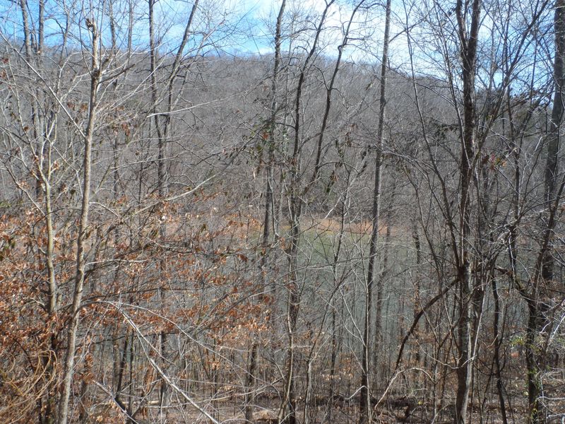 Lot 93 Hiwassee Dr, Jacksboro, TN 37757