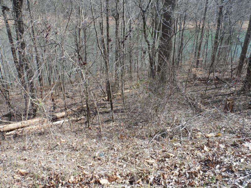 Lot 93 Hiwassee Dr, Jacksboro, TN 37757