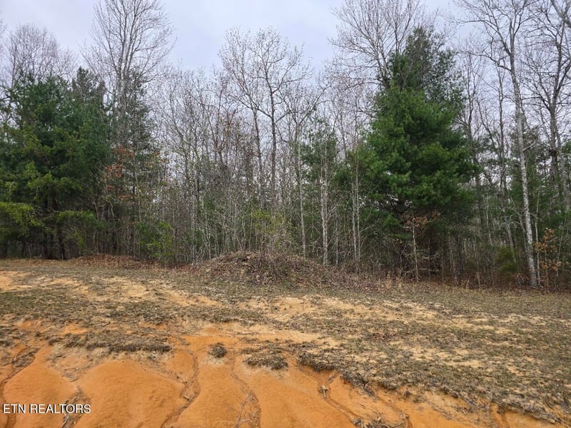Lot 93 Kayla Ln, Oneida, TN 37841