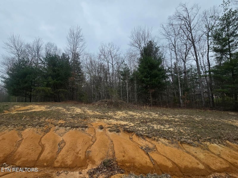 Lot 93 Kayla Ln, Oneida, TN 37841