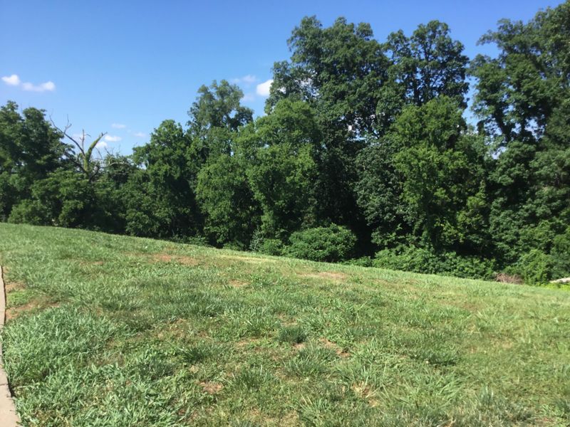 Lot 99 Barnsley Rd, Farragut, TN 37934