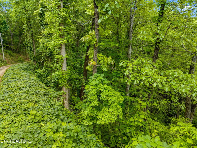 Lot 9AE Red Bone Way, Sevierville, TN 37876