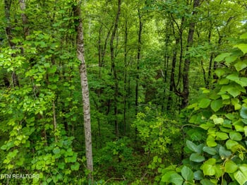 Lot 9AE Red Bone Way, Sevierville, TN 37876