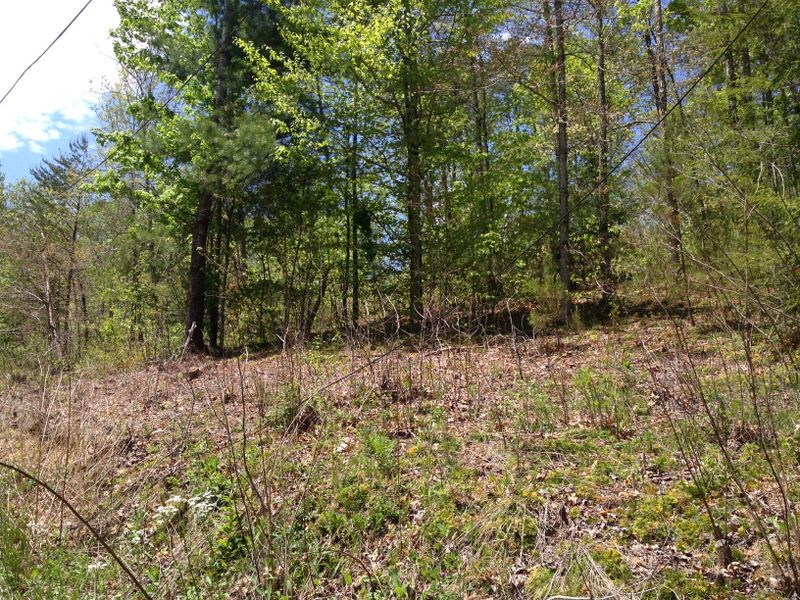 Lot 9b-2 Chamberlain Ln, Sevierville, TN 37862