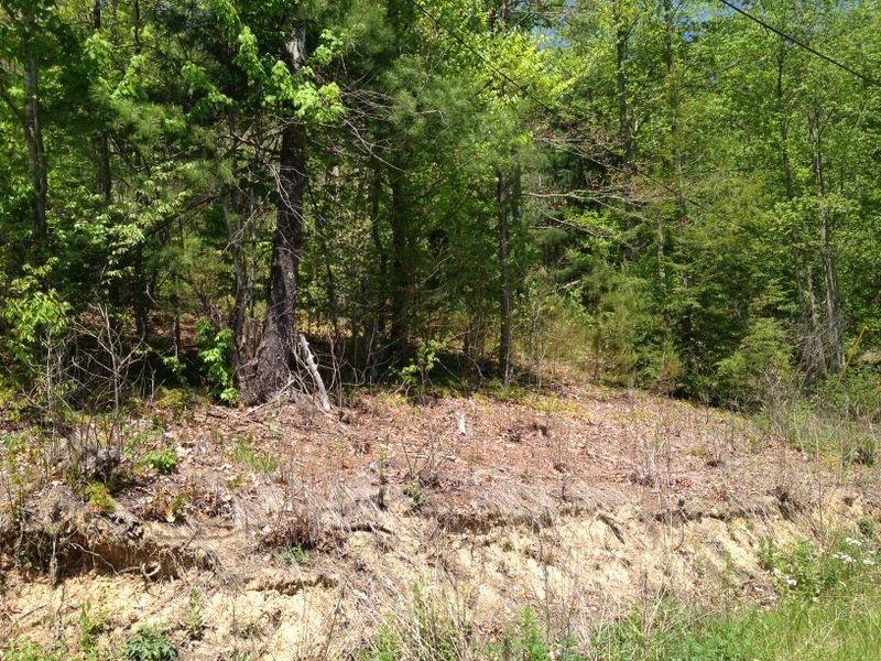 Lot 9b-2 Chamberlain Ln, Sevierville, TN 37862