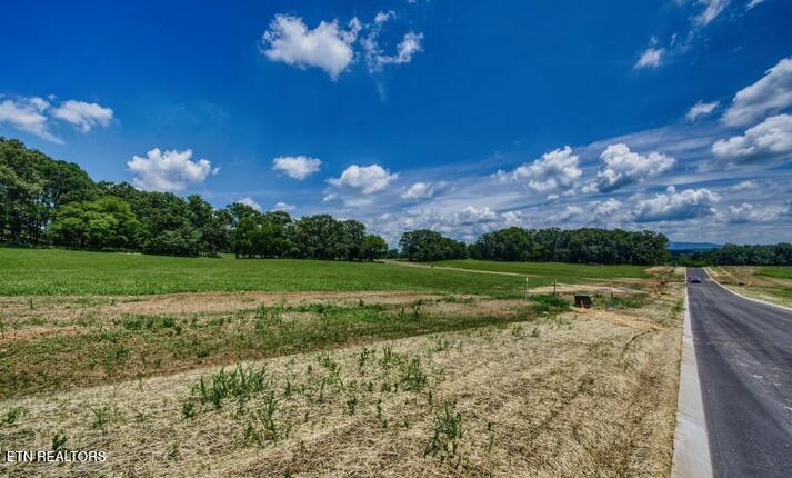 LOT 9R 848 Sophie Dr, Greenback, TN 37742