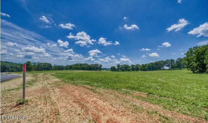 LOT 9R 848 Sophie Dr, Greenback, TN 37742