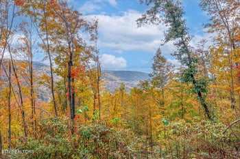 Lot O Buffalo Rd, Oneida, TN 37841