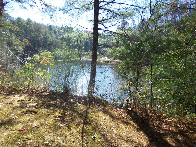 Lot P12 Waters End Rd #2, Walland, TN 37886