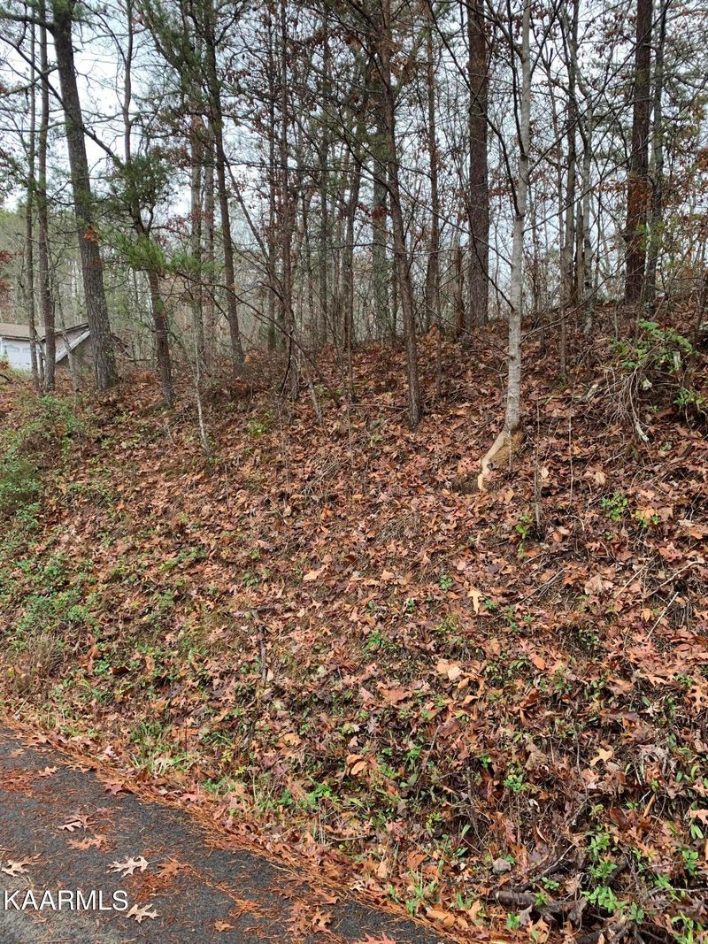 Lot pt29 Dogwood Dr, Sevierville, TN 37876