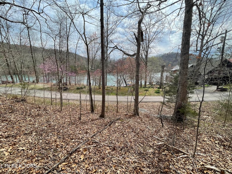 Lot120 Laurel Lake Cir, Madisonville, TN 37354