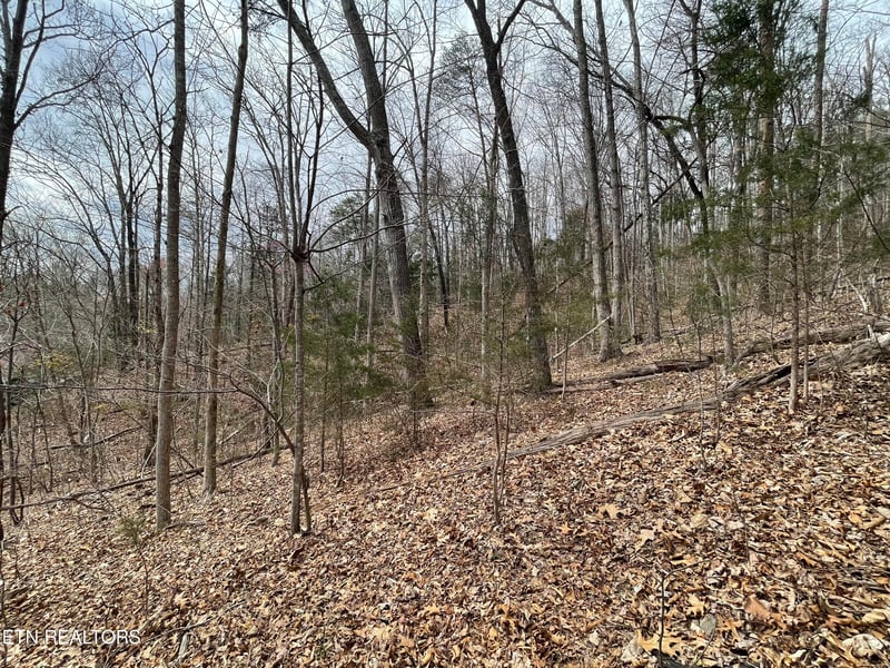 Lot120 Laurel Lake Cir, Madisonville, TN 37354