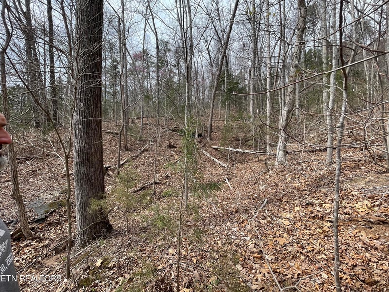 Lot120 Laurel Lake Cir, Madisonville, TN 37354