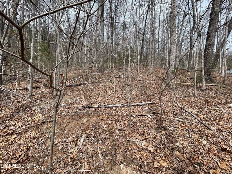 Lot120 Laurel Lake Cir, Madisonville, TN 37354