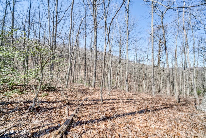 lot734-735 Renegade Mountain Pkwy, Crab Orchard, TN 37723