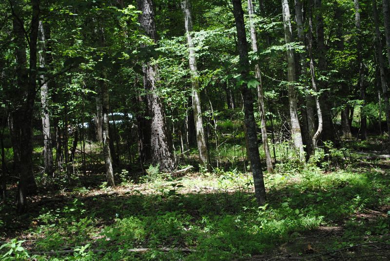 Lot9 Blk15 Kahite Trl, Vonore, TN 37885