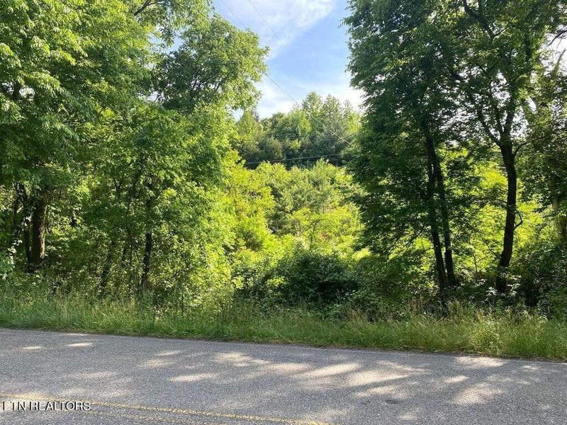 Lots 1 - 2 Dover Rd, Morristown, TN 37813
