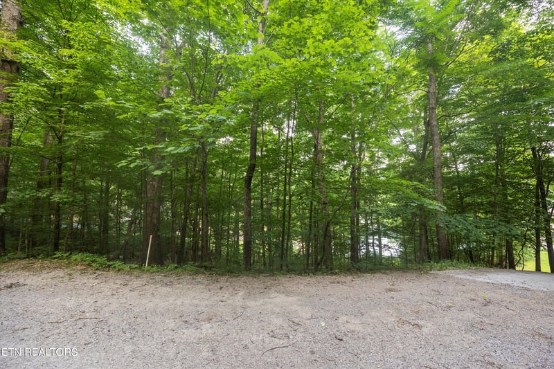 Lots 1 - 2 N Shorewod Ln, Caryville, TN 37714