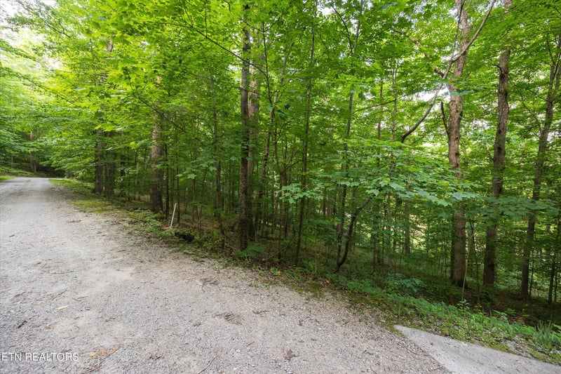 Lots 1 - 2 N Shorewod Ln, Caryville, TN 37714
