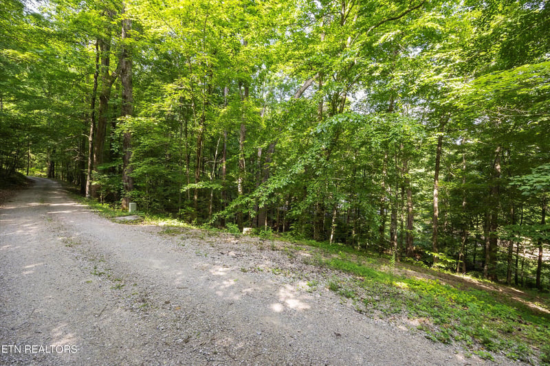 Lots 1 - 2 N Shorewod Ln, Caryville, TN 37714