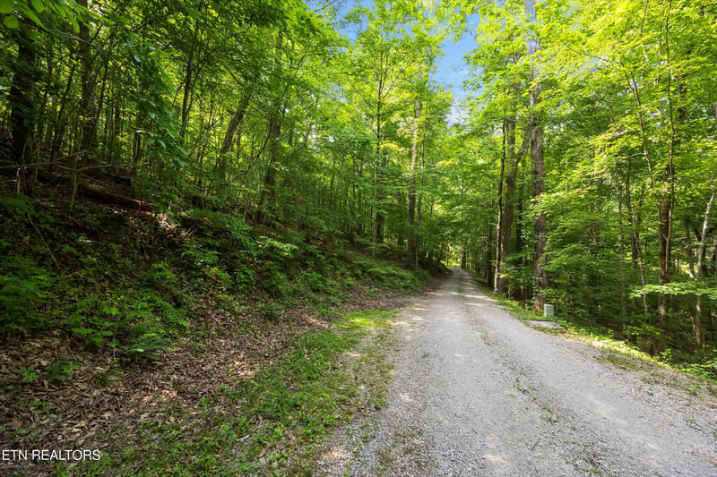 Lots 1 - 2 N Shorewod Ln, Caryville, TN 37714