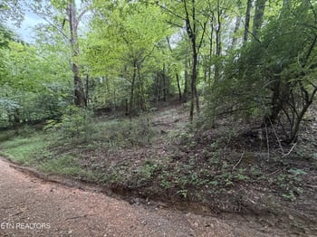 Lots 1-5 Forge Hideaway Rd, Pigeon Forge, TN 37863