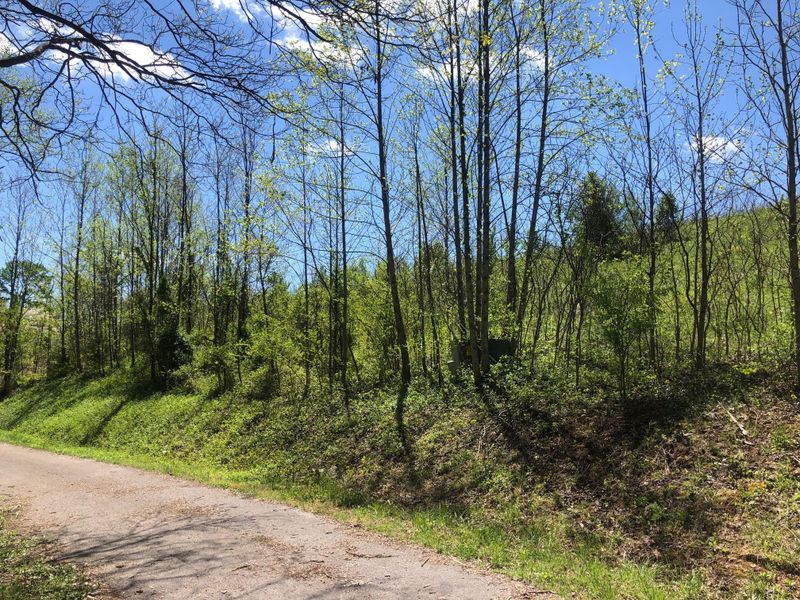 Lots 11-12 Emerald Glen Dr, Caryville, TN 37714