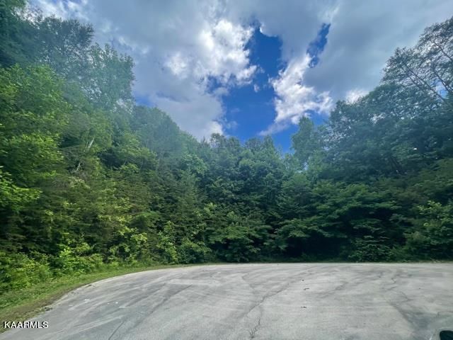 Lots 28-29 Bird Hill Rd, Sevierville, TN 37876