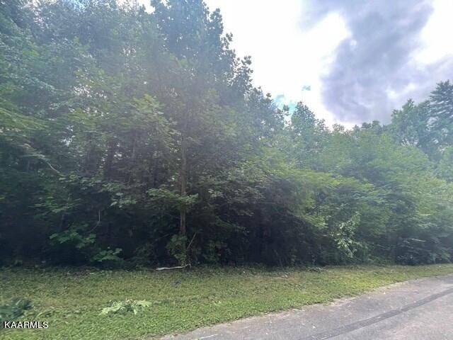 Lots 28-29 Bird Hill Rd, Sevierville, TN 37876