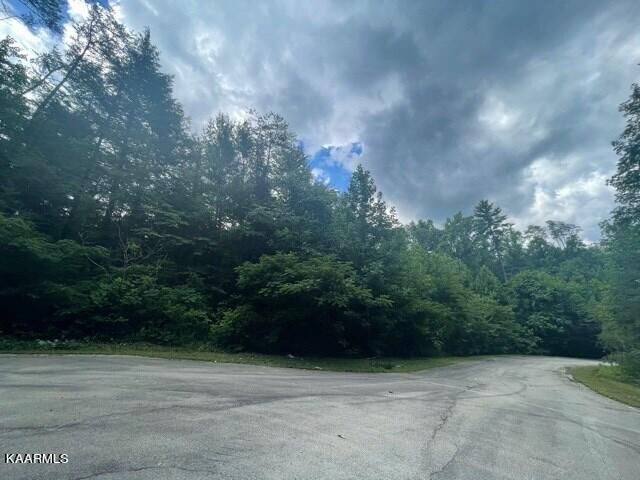 Lots 28-29 Bird Hill Rd, Sevierville, TN 37876