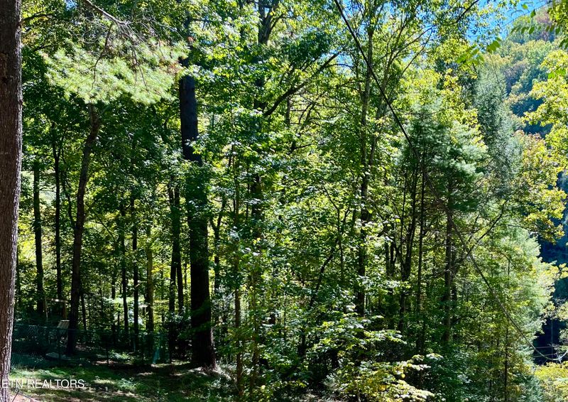 Lots 36-37 Cool Creek Rd, Sevierville, TN 37862