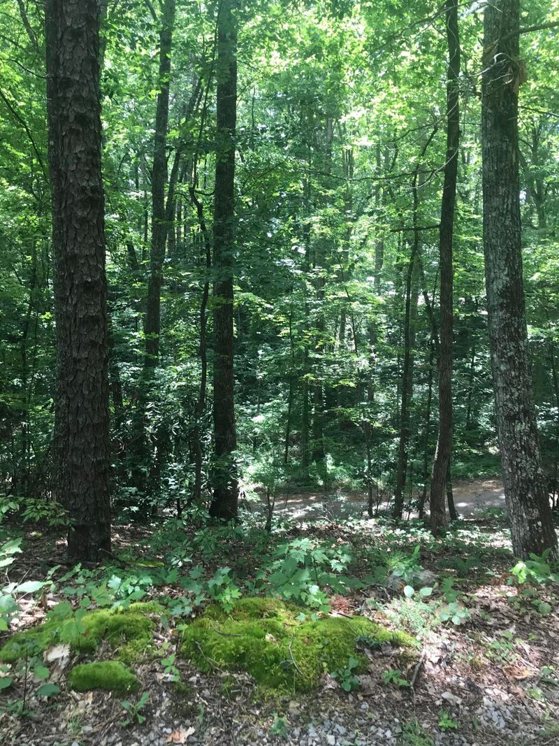 Lots 46-48 Trailer Park Ln, Sevierville, TN 37876