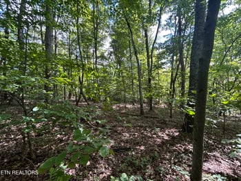 Lots 5-6 Clint Williams Rd, Rutledge, TN 37861