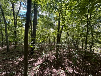 Lots 5-6 Clint Williams Rd, Rutledge, TN 37861