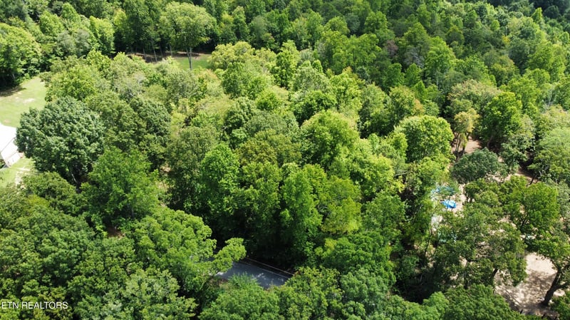 Lots 5-6 Clint Williams Rd, Rutledge, TN 37861
