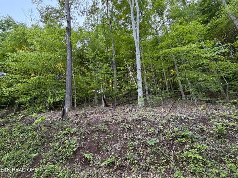 lots A-B Alder Springs Rd, Lafollette, TN 37766
