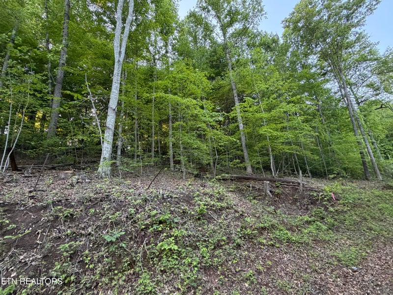 lots A-B Alder Springs Rd, Lafollette, TN 37766