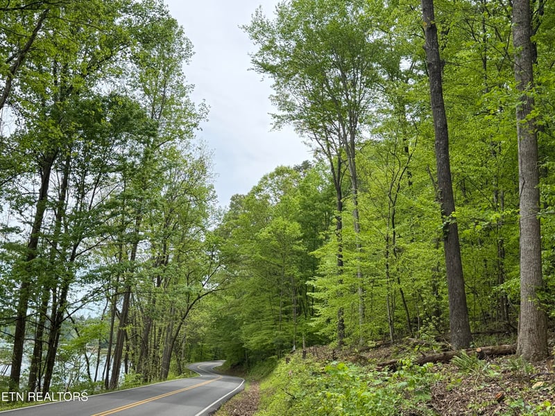 lots A-B Alder Springs Rd, Lafollette, TN 37766